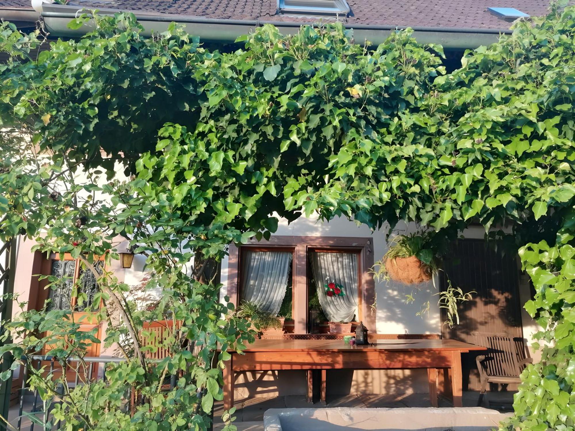 Room In Guest Room - Double Room Apple Blossom Schuttertal Exteriér fotografie